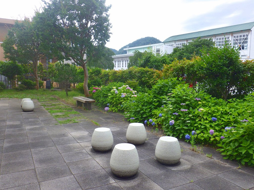 人文社会学部棟南側